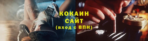 ГАЛЛЮЦИНОГЕННЫЕ ГРИБЫ Елабуга