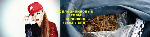 синтетический гашиш Ельня