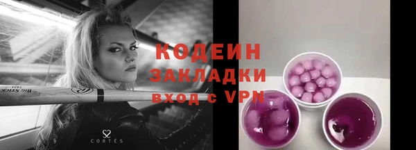 ГАЛЛЮЦИНОГЕННЫЕ ГРИБЫ Елабуга