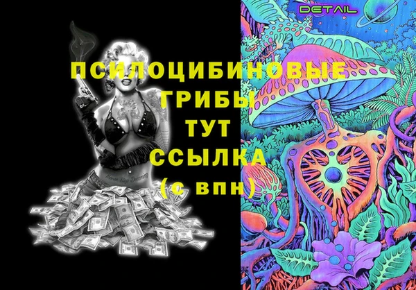 ГАЛЛЮЦИНОГЕННЫЕ ГРИБЫ Елабуга