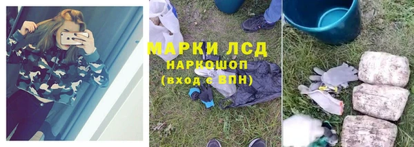 ГАЛЛЮЦИНОГЕННЫЕ ГРИБЫ Елабуга