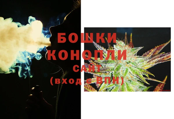 ГАЛЛЮЦИНОГЕННЫЕ ГРИБЫ Елабуга