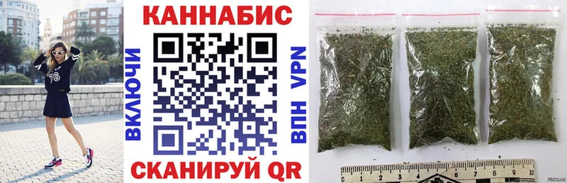 Купить закладки  Шатура  Канабис сатива 